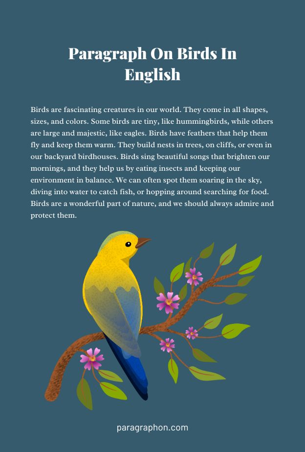 paragraph-on-birds
