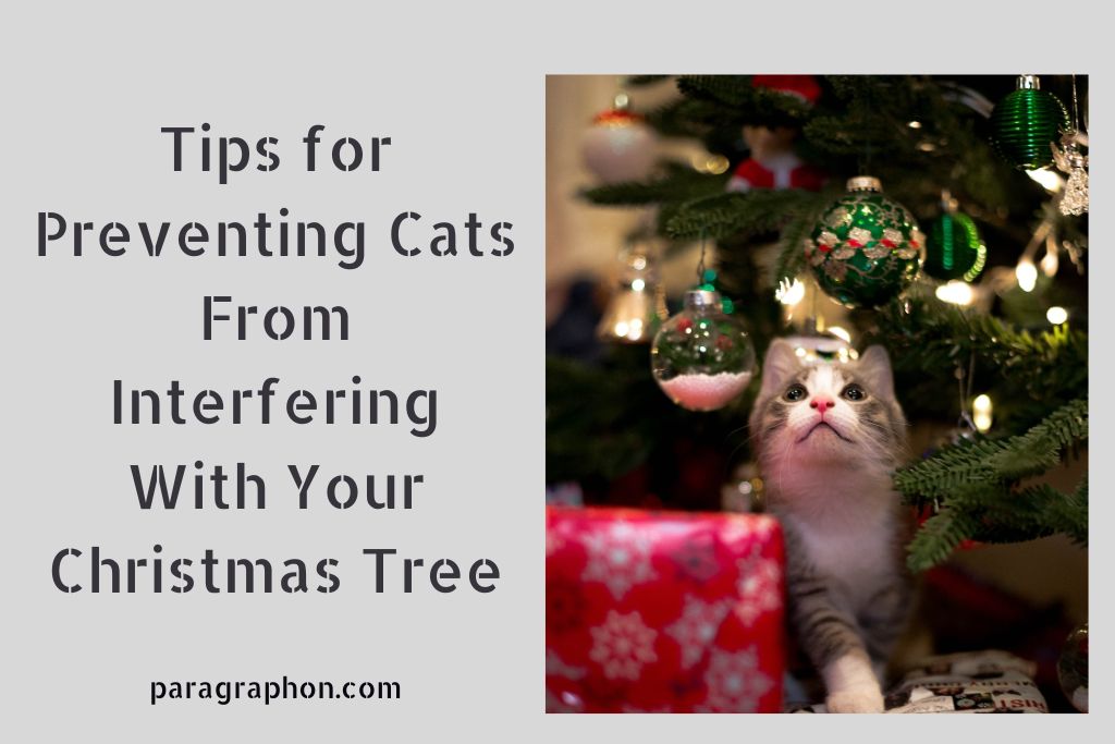 Tips for Preventing Cats From Interfering With Your Christmas Tree