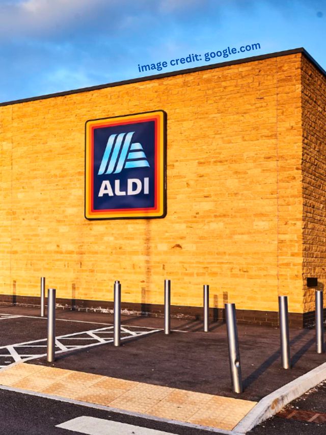 10 Underrated Items at Aldi You Should Try ASAP